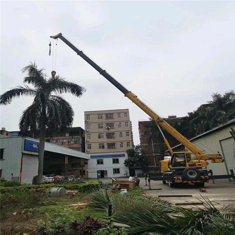 延平吊车出租的费用解析：你不可不知的行业秘密